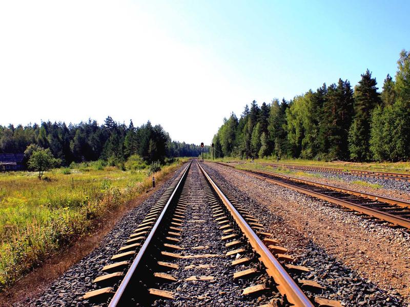 私域金库<br>OnlyFans/Patreon 创作者后端